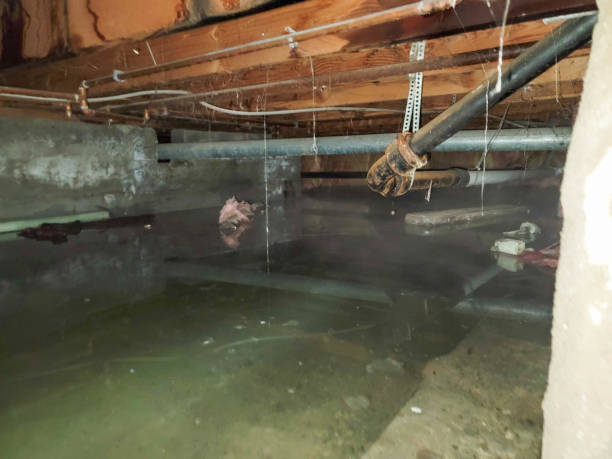 Best Water damage restoration near me  in Holland, TX