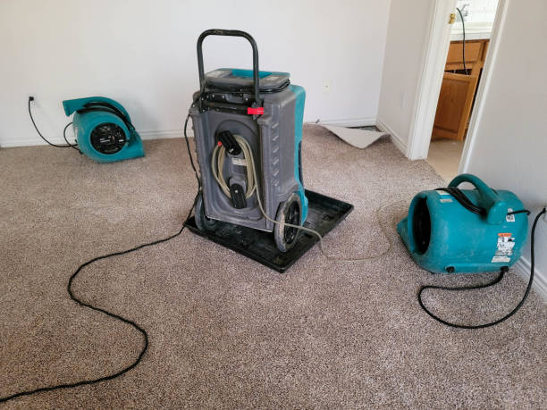 Best Water damage contractors near me  in Holland, TX