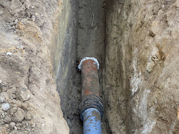 Best Basement water damage restoration  in Holland, TX